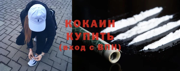 дживик Аркадак